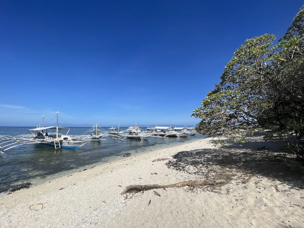 Balicasag Island, Bohol