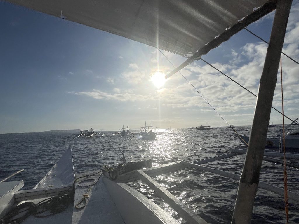 Dolphin Watching in Bohol