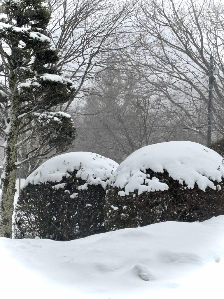 Nikko, Japan
